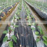 SJ- High Speed Everflying Two Colors Mulching Film Production Line thumbnail-1