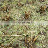 Mingyue New Product 4GL100 Bean Harvesting Machine Head thumbnail-5