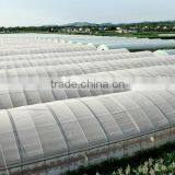 High Performance Pe Film Greenhouse For Strawberry thumbnail-2