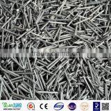 Polished Common Nail (Factory) thumbnail-5