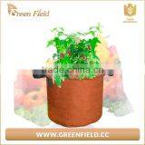 Non Woven Felt Fabric Grow Bags With Handle thumbnail-3