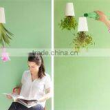 Plastic Sky Planter Creative Decorative Home Mini Sky Garden Flower Pot Beauty Sky Planter thumbnail-4
