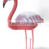 Flamingo Decoy