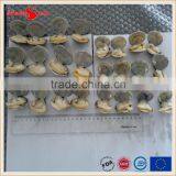 Frozen Boiled Baby Clam thumbnail-1