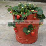 Strawberry Planting Bag With Handle thumbnail-1