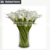 Best Selling Products Halloween Costumes China Wholesale Calla Lily Christmasdecoration thumbnail-5