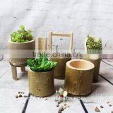Unique Beautiful Home & Garden Decoration Nature Green Bamboo Flower Vase thumbnail-2