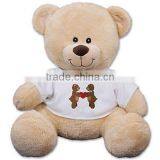 Factory Direct Design Your Own Plush Toy Bear for Kids Toys thumbnail-1