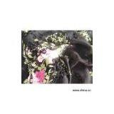 Sell Ribbon Embroidery On Chiffon thumbnail-1