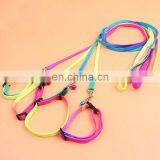 Color Pet Dog Leash Soft Walking Harness Lead Colorful and Durable Traction Rope Nylon 120cm Length thumbnail-3