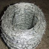 Galvanized Double Twisted Barbed Wire