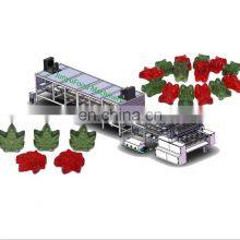 50kg Small Automatic Gummy Candy Making Machine Pectin Pure Apple Cider Vinegar Jelly Candy Make Machine Vegan Gummy Machine thumbnail-2