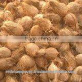 Coconut From 500gms to 600gm thumbnail-6