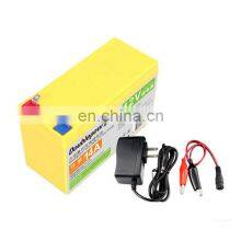 Customized 18650 Battery Pack Deep Cycle 12V 14AH Storage Battery for Lighting Device