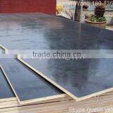 Eucalyptus Core Film Faced Plywood for Construction thumbnail-5