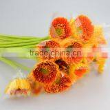 Fashion Golden Sun Buy Gerbera Flowers thumbnail-1