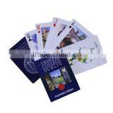 Top Garde Plastic Assassin's Creed Unity Casino Playing Card