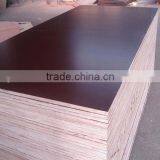 18mm Film Faced Plywood /Shuttering Plywood/ Building Templates thumbnail-1