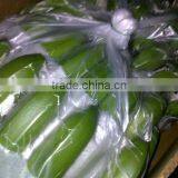 Class A Cavendish Bananas thumbnail-3