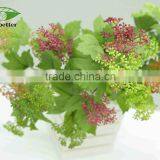 Garden Flowers and Edge for Indoor Decorations thumbnail-4