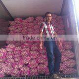 China Red Garlic Price Store Garlic thumbnail-5