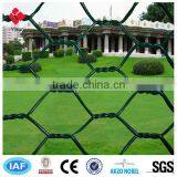 PVC Coated Hexagonal Wire Mesh