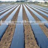 Low Price Silver/black PE Mulch Film for Agriculture Food Grade Wholesale thumbnail-5