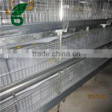 Stainless steel galvanizing chicken cage for poultry farm