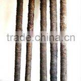 Artificial coconut trunk