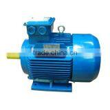 YE2-315L2-2 (2 Pole Three Phase High Efficient Asynchronous Industry Motor AC Motor) thumbnail-6