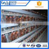 Automatic Chicken Layer Cage in Kenya thumbnail-3