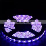 Waterproof Outdoor Full Kit ww cw Black Light Led Strip