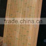 PVC Double Casement Door