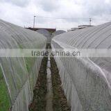 Polytunnels Insect-Proof Nets