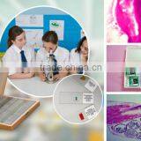 Students Training Chick Embryo Prepared Slides thumbnail-1