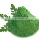 DRIED MORINGA LEAVES POWDER