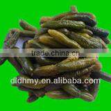 Dill Pickles/Gherkin/Pickled Cucumber/cucumber Pickle thumbnail-1