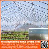 high quality 100 150 200 micron tunnel / multi-span / mini / mushroom / garden / agricultural greenhouse plastic film for sale