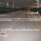 Poultry Farming Equipment thumbnail-1