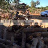 High Quality Charcoal From Laos thumbnail-4