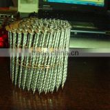 coil nails for pallet price