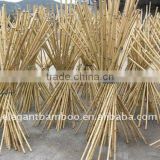 cana de bambu