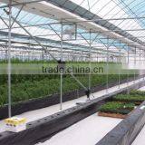 Film Greenhouse for Tomato and Other Vegetables thumbnail-1