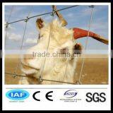 Hot dipped galvanized farm cattle fence factory