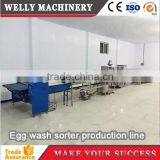 Automatic Weighing Egg Grader With Best Price thumbnail-6