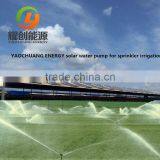 6" Inch Submersible Deep Well Solar Water Pump for Agriculture Irrigation System