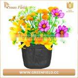 1,2,2.5,3,5,7,10 Gallon Nursery Fabric Flower Grow Bag thumbnail-2
