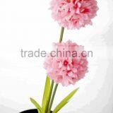 SJ13001115 Loyal Decorative 2 Heads Onion Flowers Sell by Factory Price thumbnail-5