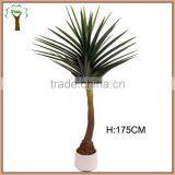 Artificial Octopus Plant for Indoor Decoration thumbnail-1