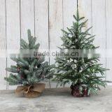 GNW Technology Co., Ltd. company overview - view 1 thumbnail